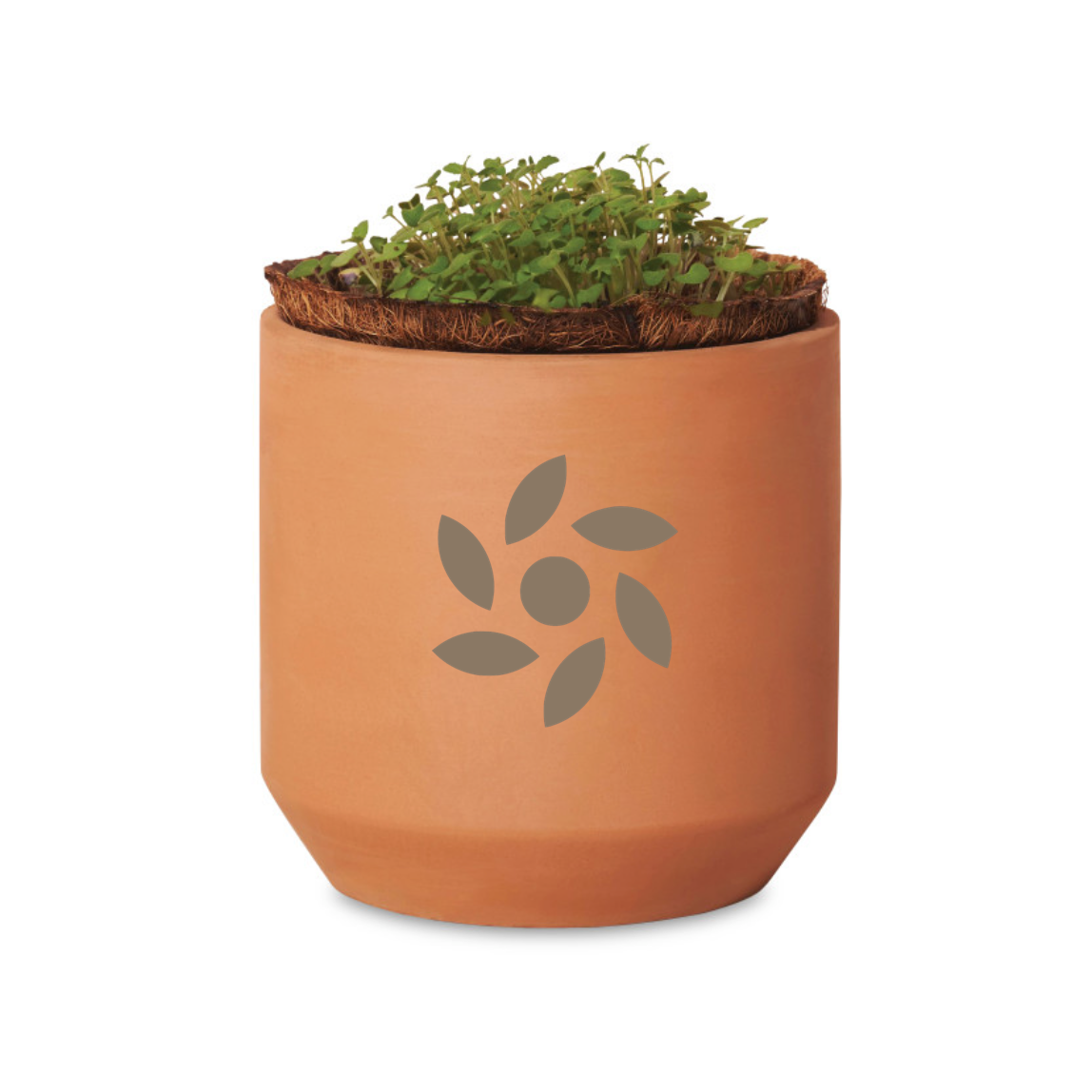 Modern Sprout® Tiny Terracotta Grow Kit